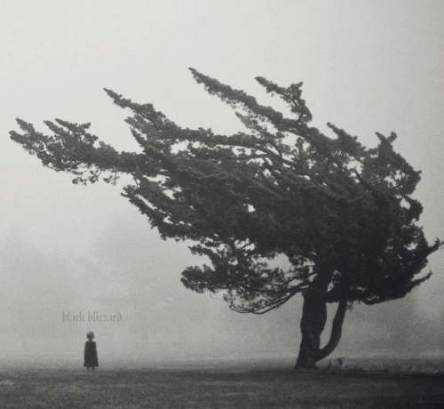 Black Blizzard (USA) : Broken Hands, Broken Hearts